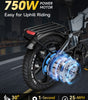 TESGO Seeker Hum Folding Electric Bike to US