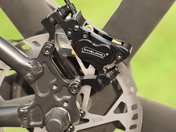 DYISLAND LD4X-300 4-Pistons Hydraulic Disc Brake Set for E-Bike