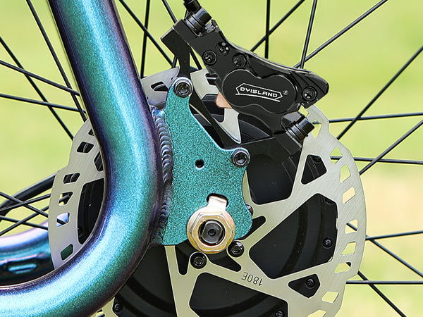 ディディリンク DYISLAND LD4X-300 4-Pistons Hydraulic Disc Brake Set for E-Bike