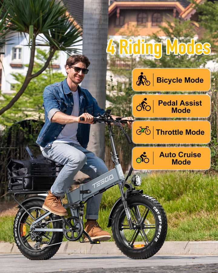 TESGO Seeker Hum Folding Electric Bike to US