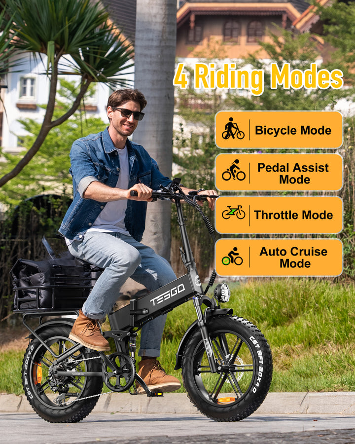 TESGO Seeker Hum Folding Electric Bike to US