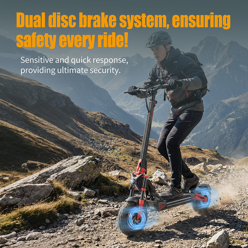 TWOFISH TW4 PRO Electric Scooter（EU）