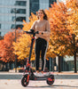 TWOFISH V4 MAX Electric Scooter（EU）