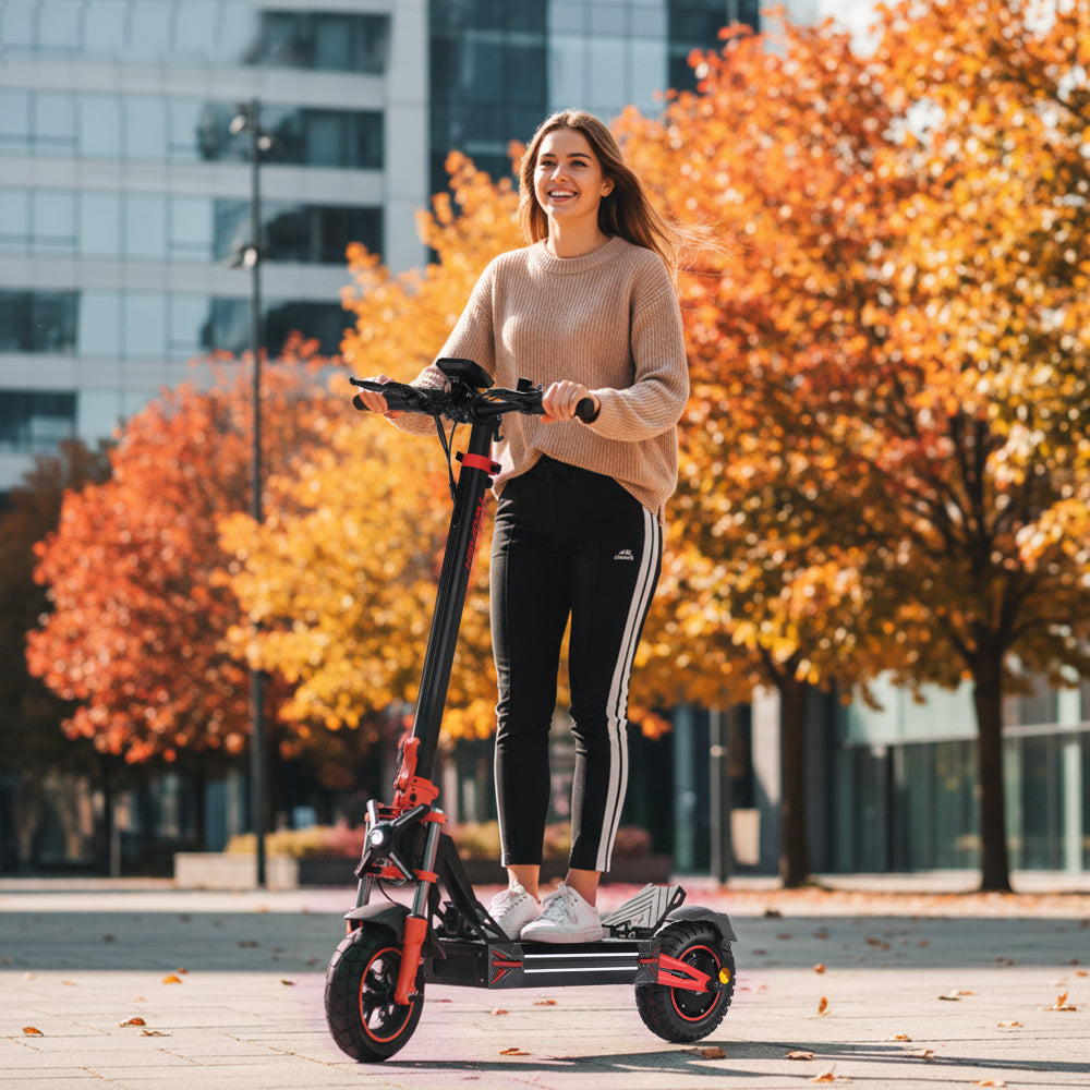TWOFISH V4 MAX Electric Scooter（EU）