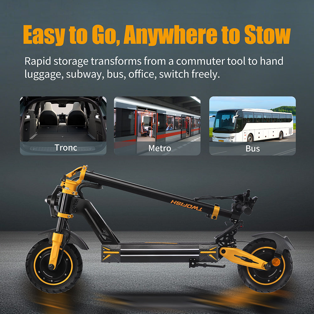 TWOFISH TW3 Pro Dual Motor Electric Scooter（EU）