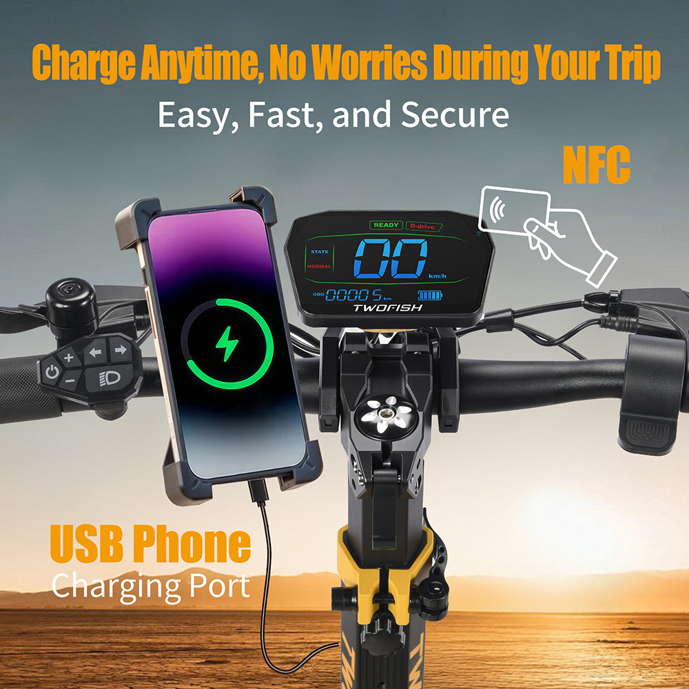 TWOFISH TW3 Pro Dual Motor Electric Scooter（EU）