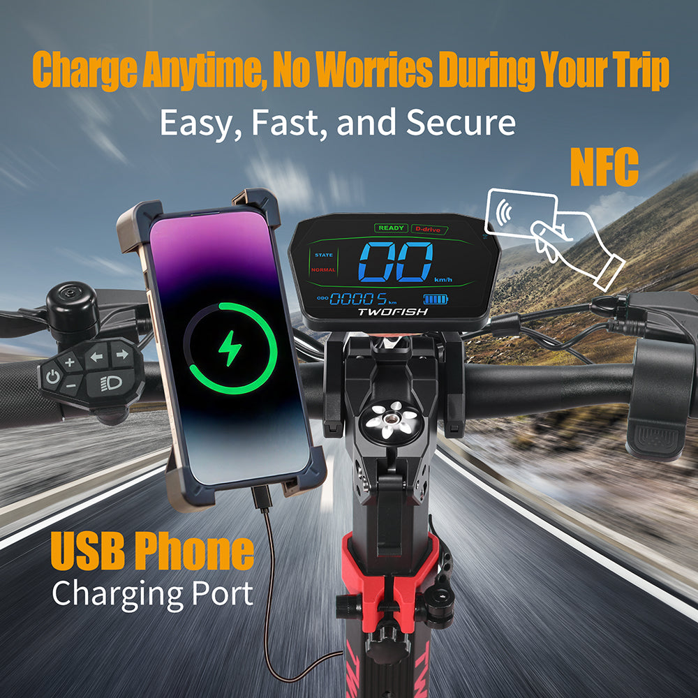 TWOFISH TW4 PRO Electric Scooter（EU）