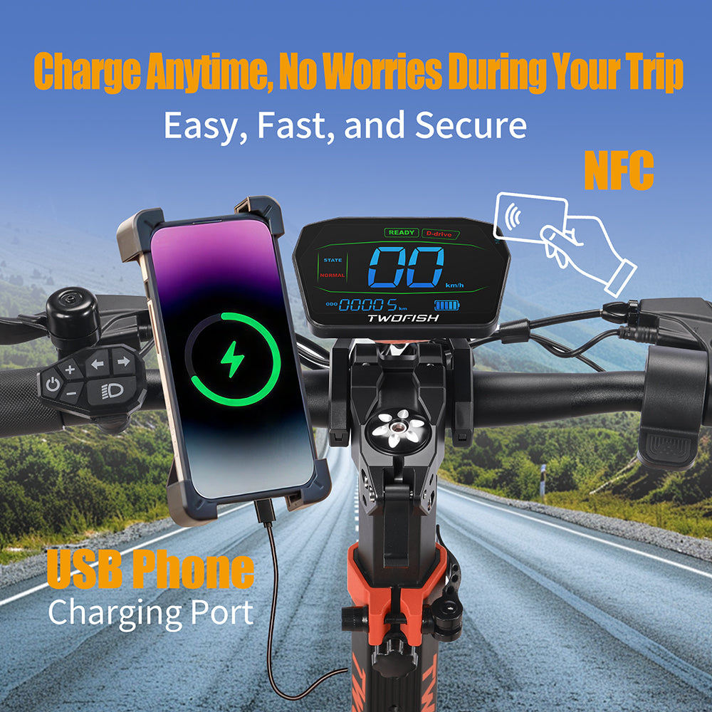 TWOFISH V4 MAX Electric Scooter（EU）