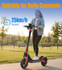 TWOFISH V4 MAX Electric Scooter（EU）