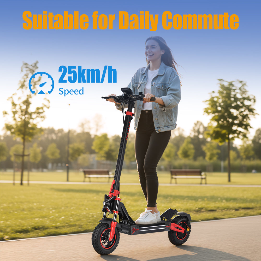 TWOFISH V4 MAX Electric Scooter（EU）