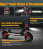 TWOFISH TW4 PRO Electric Scooter（EU）