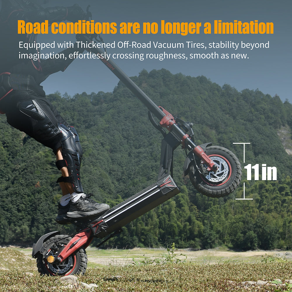 TWOFISH TW4 PRO Electric Scooter（EU）