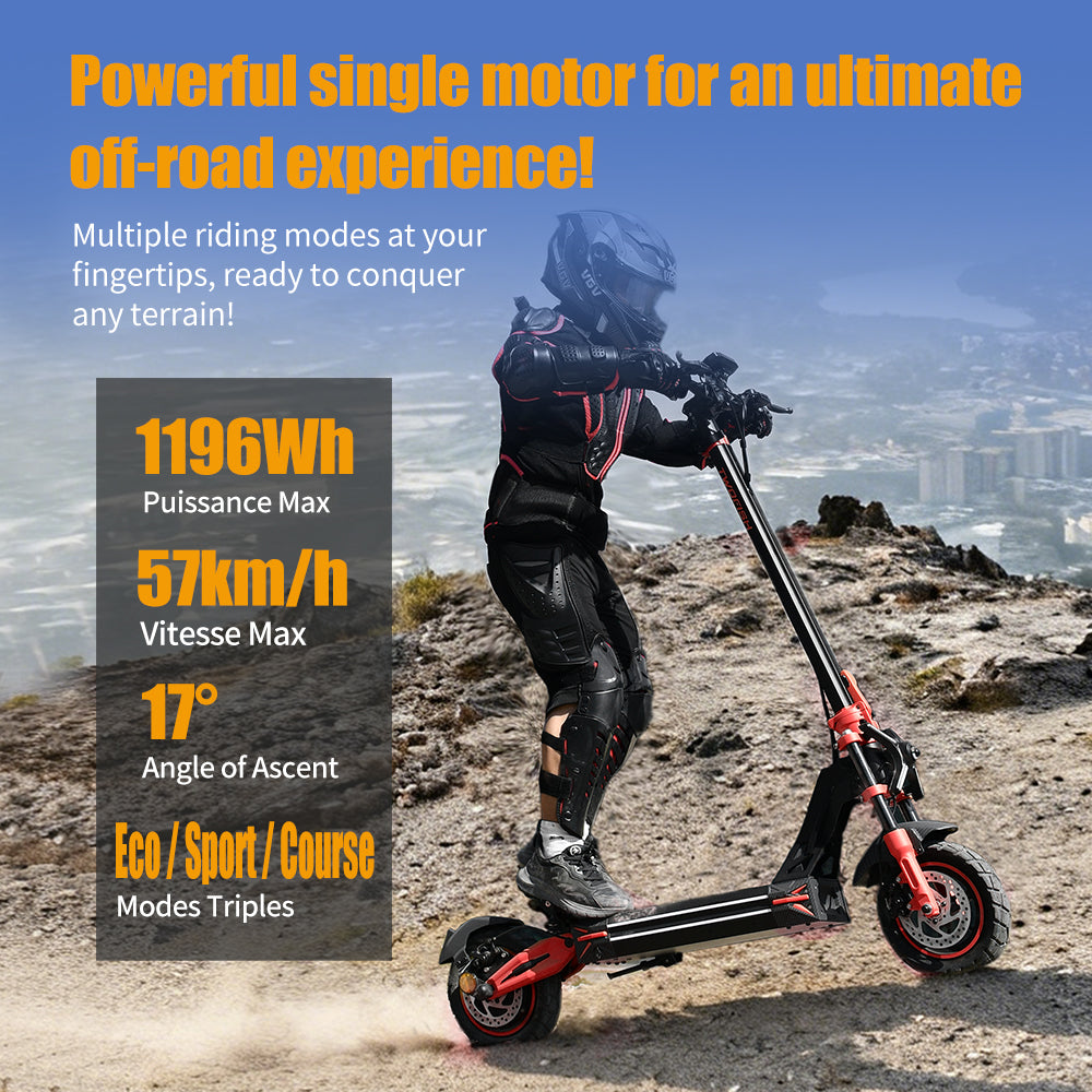 TWOFISH V4 MAX Electric Scooter（EU）