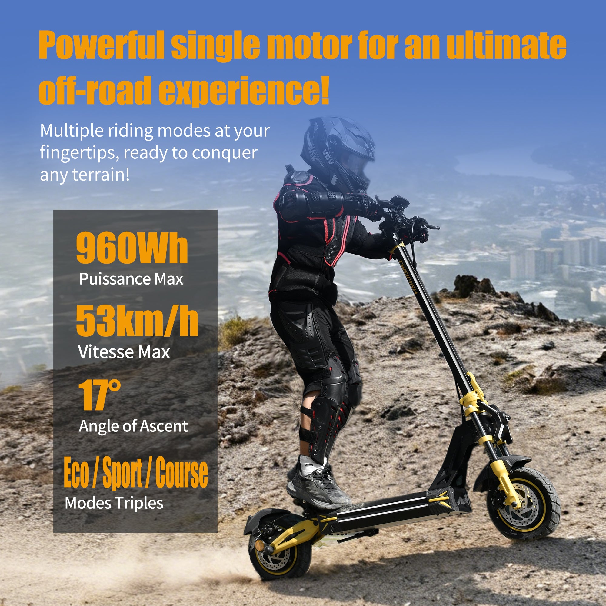 TWOFISH V2 MAX Electric Scooter (EU)