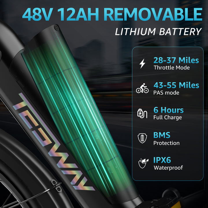 TESWAY WALKER Electric Bike to CA