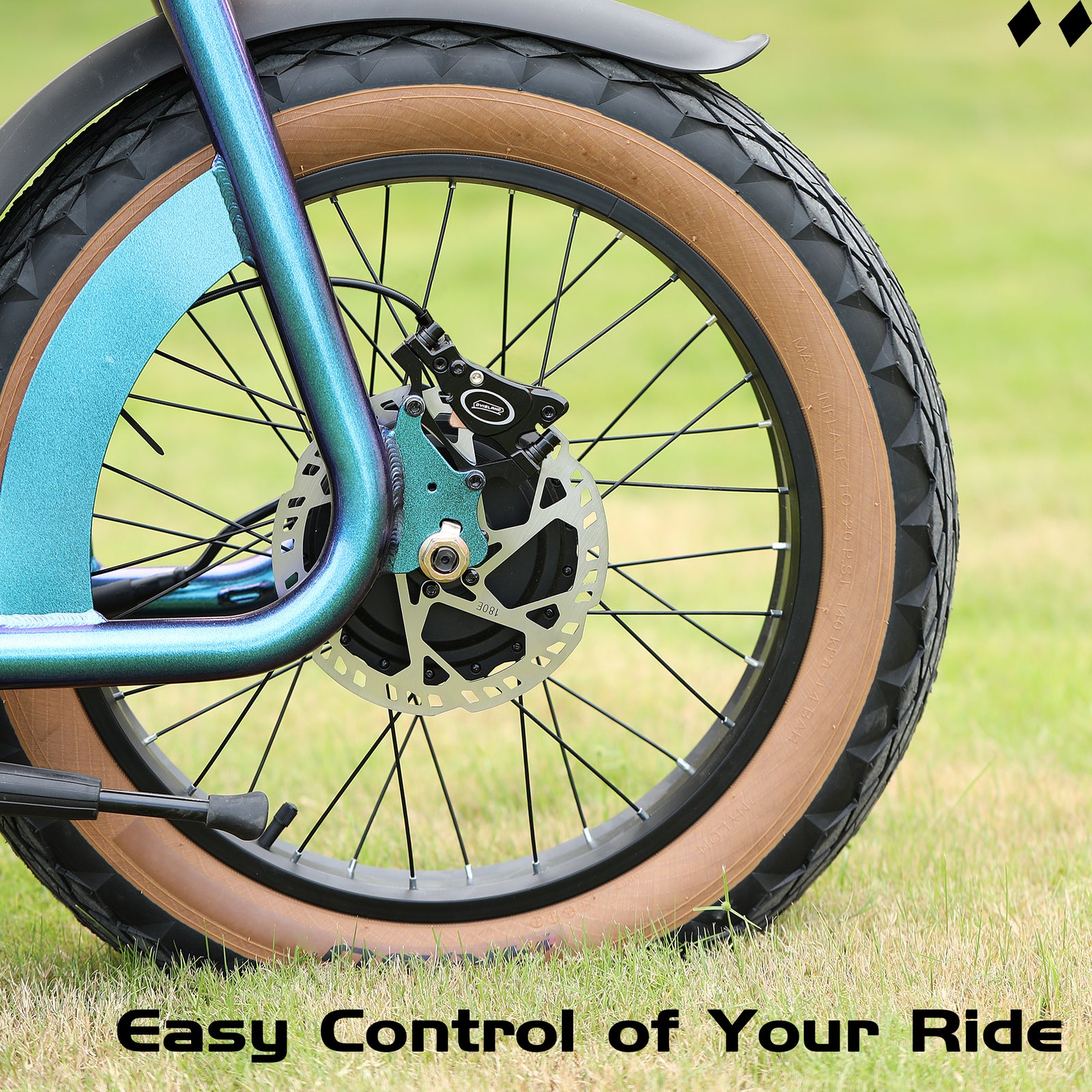 DYISLAND LD-200PLIS Hydraulic Disc Brake Caliper