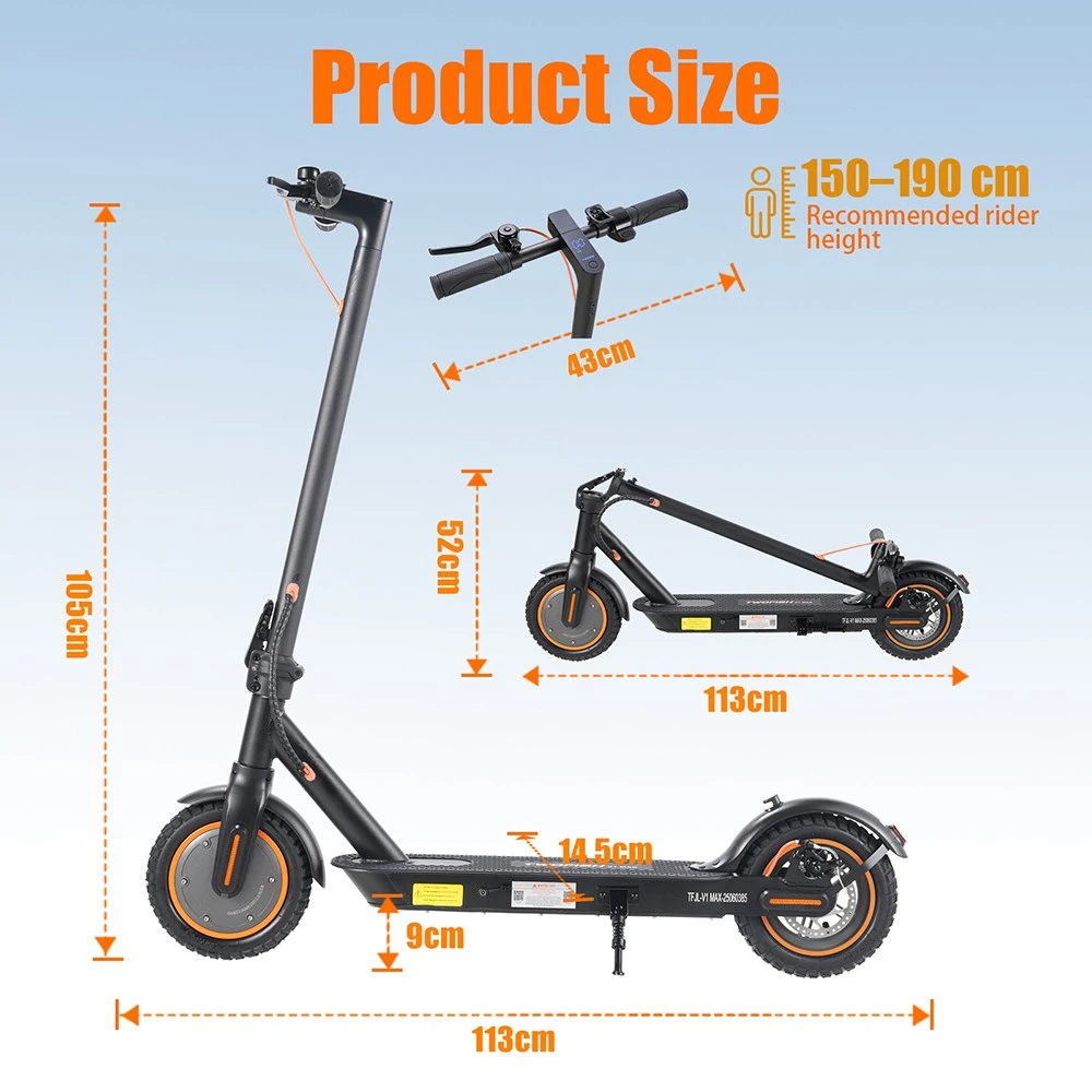 TWOFISH V1 MAX Electric Scooter (EU)