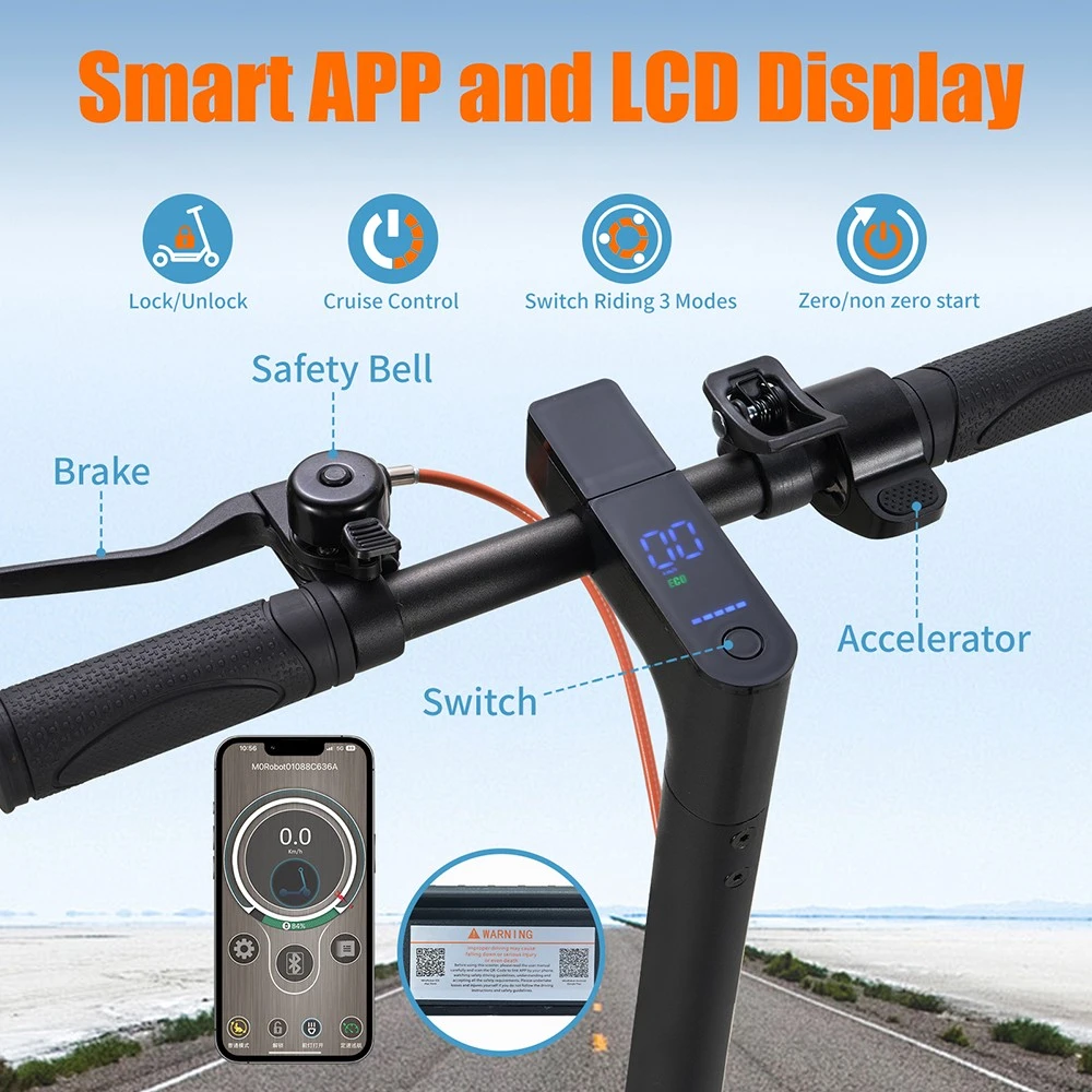 TWOFISH V1 MAX Electric Scooter (EU)